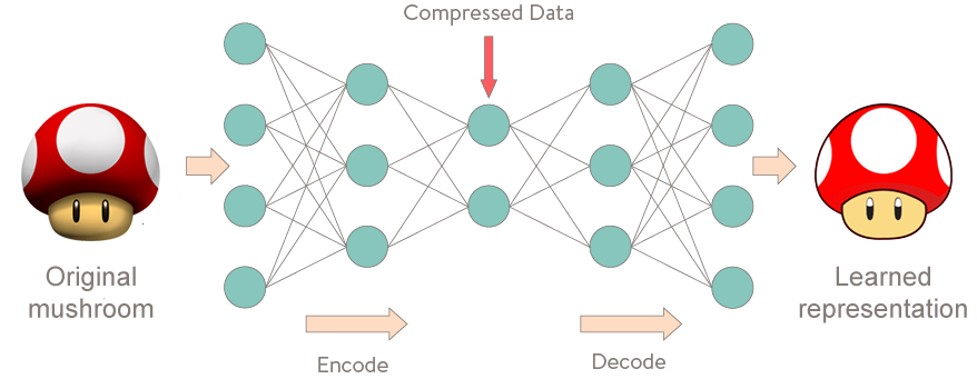 mushroom_encoder